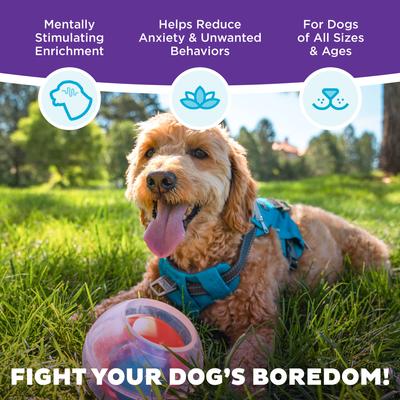 Show full view: Outward Hound Dog Rumble Puzzle Ball Puzzle & Treat Maze Interactive Dog Toy, Orange slide 3 of 10