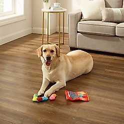 Outward Hound Snack Bag Yummy Worms Puzzle Squeaky Dog Toy, Red slide 2 of 6