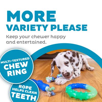 Show full view: Petstages Orka Teething Small Dogs & Puppies Dental Chew Toys, 3 count slide 4 of 9