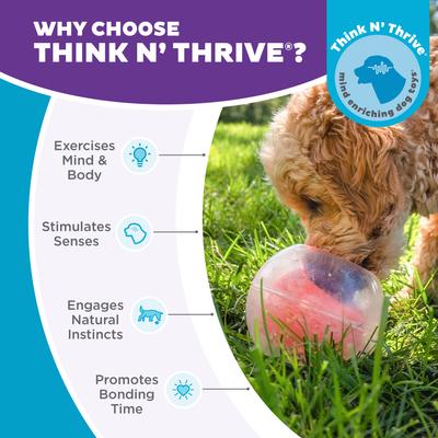 Show full view: Outward Hound Dog Rumble Puzzle Ball Puzzle & Treat Maze Interactive Dog Toy, Orange slide 6 of 10