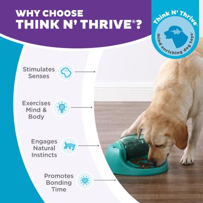 Show full view: Nina Ottosson by Outward Hound Spin N' Eat Dog Food Puzzle Feeder, Green slide 6 of 10