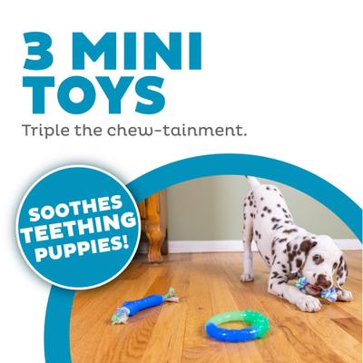 Show full view: Petstages Orka Teething Small Dogs & Puppies Dental Chew Toys, 3 count slide 2 of 9