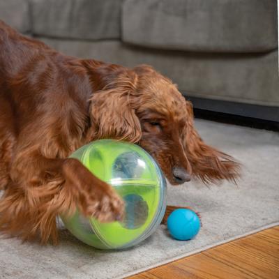 Show full view: Outward Hound A-Maze Ball Puzzle & Treat Maze Interactive Dog Toy, Green slide 8 of 10