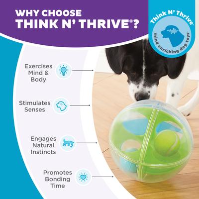 Show full view: Outward Hound A-Maze Ball Puzzle & Treat Maze Interactive Dog Toy, Green slide 6 of 10