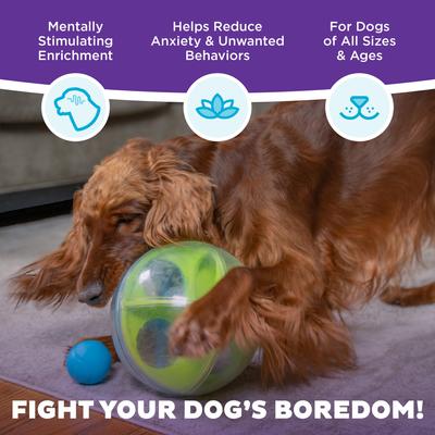 Show full view: Outward Hound A-Maze Ball Puzzle & Treat Maze Interactive Dog Toy, Green slide 3 of 10