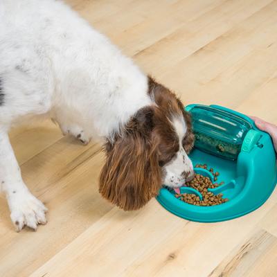 Show full view: Nina Ottosson by Outward Hound Spin N' Eat Dog Food Puzzle Feeder, Green slide 8 of 10