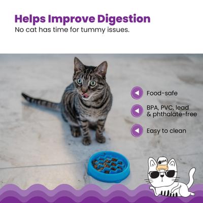 Show full view: Catstages Kitty Slow Feeder, Blue, 0.75 cup slide 5 of 12