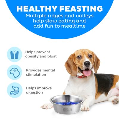 Show full view: Outward Hound Stainless Steel Fun Slow Feeder Dog Bowl, 2 cup, Silver slide 2 of 9