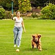 Show in main carousel: Outward Hound Launch A Ball Squeak Interactive Tennis Ball Launcher Dog Toy slide 5 of 7