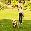 Show in main carousel: Outward Hound Launch A Ball Tennis Dog Toy slide 5 of 8