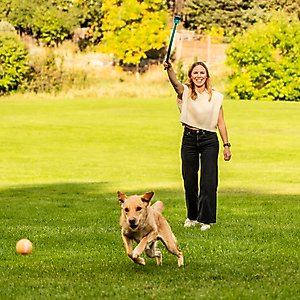 Outward Hound Launch A Ball Tennis Dog Toy