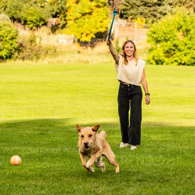 Show full view: Outward Hound Launch A Ball Tennis Dog Toy slide 6 of 9