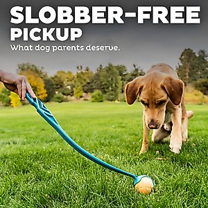 Outward Hound Launch A Ball Tennis Dog Toy