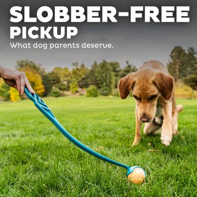 Show full view: Outward Hound Launch A Ball Tennis Dog Toy slide 5 of 9