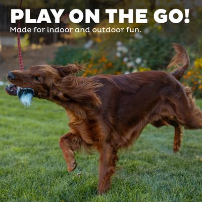 Show full view: Outward Hound Fox Tail Teaser Wand Dog Toy Replacement Lure slide 5 of 8