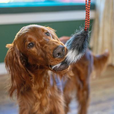 Show full view: Outward Hound Fox Tail Teaser Wand Dog Toy Replacement Lure slide 6 of 8