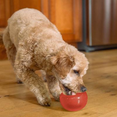 Show full view: Outward Hound Orbee-Tuff Lil Snoop Treat Dispensing Tough Dog Chew Toy, Red slide 8 of 13
