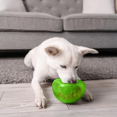 Show full view: Outward Hound Orbee-Tuff Snoop Treat Dispensing Tough Dog Chew Toy, Green slide 9 of 14