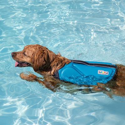 Show full view: Outward Hound Dawson Swim Dog Life Jacket, Blue, Small slide 6 of 9