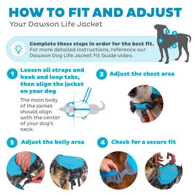 Show full view: Outward Hound Dawson Swim Dog Life Jacket, Blue, Small slide 3 of 9