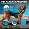 Show in main carousel: Outward Hound Dawson Swim Dog Life Jacket, Blue, Small slide 5 of 9