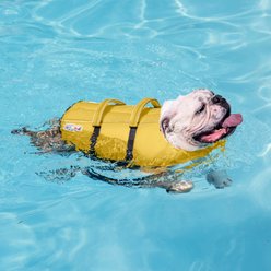 Outward Hound Granby Splash Dog Life Jacket, Yellow, Large slide 2 of 7