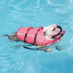 Outward Hound Granby Splash Dog Life Jacket, Pink, Large slide 2 of 7