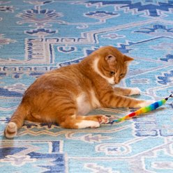 Squishy Face Studio Tough Teaser Cat Exercise Toy Replacement Lures, 2 count slide 2 of 2