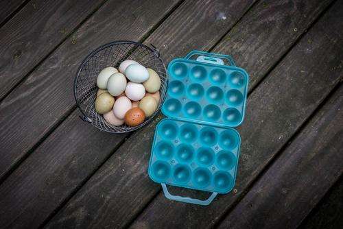 Show full view: My Favorite Chicken Reusable Dozen Egg Carton, Blue slide 3 of 7