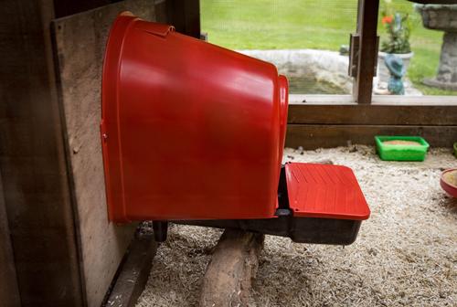 Show full view: My Favorite Chicken Rollout Wall-Mounted Nest Box, Red slide 7 of 7