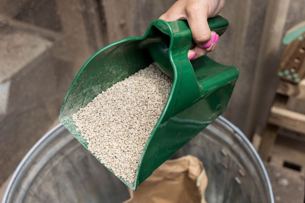 My Favorite Chicken Chicken Feed Scoop, Green, 10.4-cup