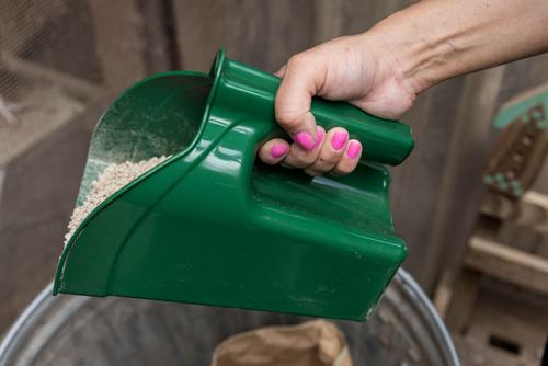 Show full view: My Favorite Chicken Chicken Feed Scoop, Green, 10.4-cup slide 3 of 5