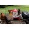 Show in main carousel: My Favorite Chicken Chicken Feeder, 11-lb slide 3 of 7