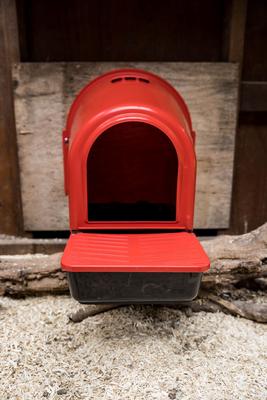 Show full view: My Favorite Chicken Rollout Wall-Mounted Nest Box, Red slide 3 of 7