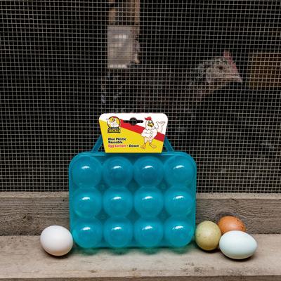 Show full view: My Favorite Chicken Reusable Dozen Egg Carton, Blue slide 7 of 7