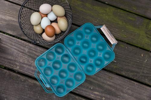 Show full view: My Favorite Chicken Reusable Dozen Egg Carton, Blue slide 2 of 7