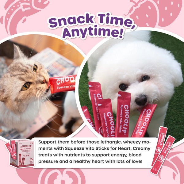 Choolip Squeeze Vita Stick Grab n Go Coat Support Lickable Cat Treats, 49 count