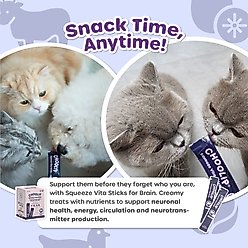 Choolip Squeeze Vita Stick Grab n Go Brain Support Lickable Cat Treats, 49 count slide 2 of 9