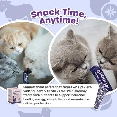 Show full view: Choolip Squeeze Vita Stick Grab n Go Brain Support Lickable Cat Treats, 49 count slide 9 of 10