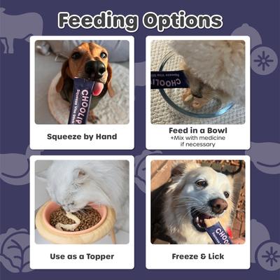 Show full view: Choolip Squeeze Vita Stick Grab n Go Brain Support Lickable Cat Treats, 49 count slide 8 of 10