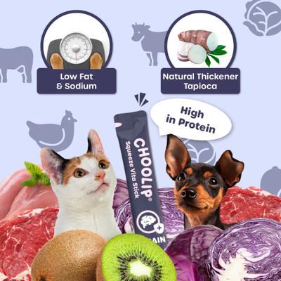 Show full view: Choolip Squeeze Vita Stick Grab n Go Brain Support Lickable Cat Treats, 49 count slide 7 of 10