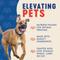 Show in main carousel: Finley's Hearty Selects Peanut Butter Pumpkin & Papaya Soft & Chewy Dog Treats, 12-oz bag slide 7 of 10
