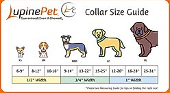 LupinePet Limited Edition Old Glory Dog Collar, Medium: 12 to 20-in neck, 1-in wide slide 2 of 4
