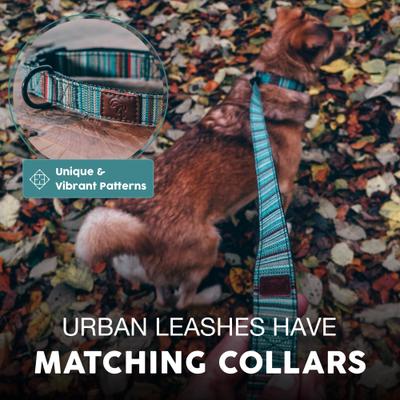 Show full view: Embark Harness Co. Adventure Dog Leash, Boho, 4-ft slide 5 of 7