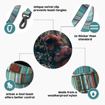 Show full view: Embark Harness Co. Adventure Dog Leash, Boho, 4-ft slide 2 of 7