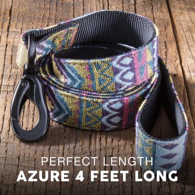 Show full view: Embark Harness Co. Adventure Dog Leash, Azure, 4-ft slide 5 of 7