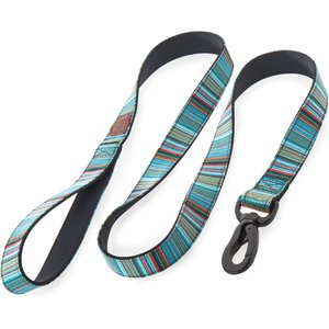 Embark Harness Co. Adventure Dog Leash, Boho, 4-ft