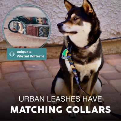 Show full view: Embark Harness Co. Adventure Dog Leash, Azure, 4-ft slide 4 of 7