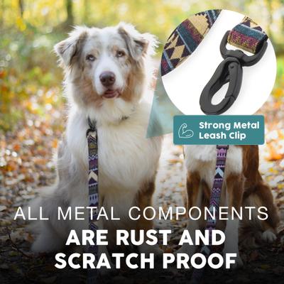 Show full view: Embark Harness Co. Adventure Dog Leash, Azure, 4-ft slide 3 of 7