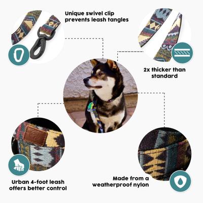 Show full view: Embark Harness Co. Adventure Dog Leash, Azure, 4-ft slide 2 of 7